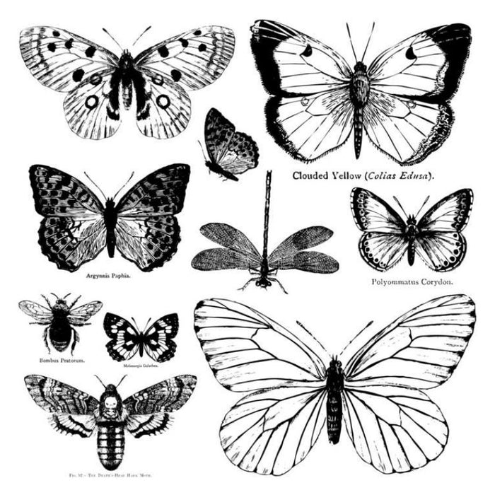 IOD Decor Stamp - Butterflies 12 x 12 Decor Stamp